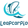 Hangzhou Leapcarpio Ntshuam thiab Export Co., Ltd